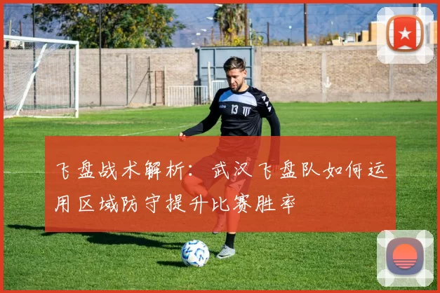 飞盘战术解析：武汉飞盘队如何运用区域防守提升比赛胜率
