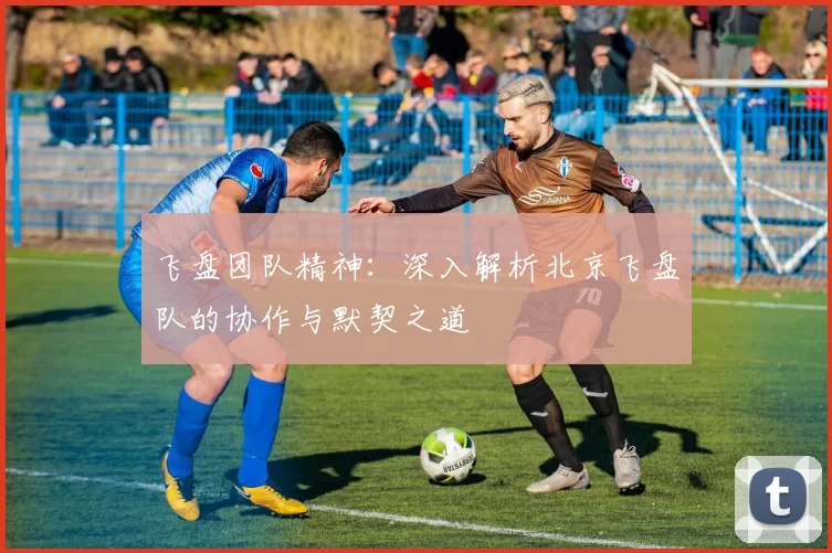 飞盘团队精神：深入解析北京飞盘队的协作与默契之道