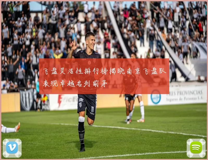 飞盘灵活性排行榜揭晓南京飞盘队表现卓越名列前茅