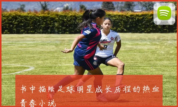 书中描绘足球明星成长历程的热血青春小说