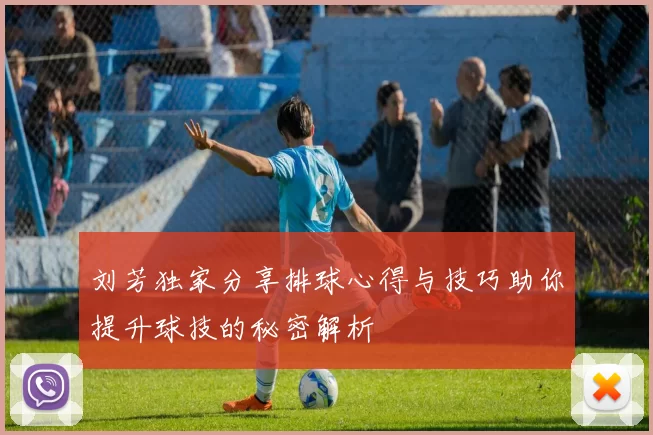 刘芳独家分享排球心得与技巧助你提升球技的秘密解析