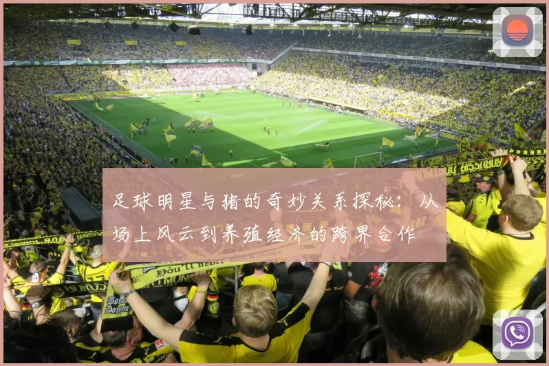 足球明星与猪的奇妙关系探秘：从场上风云到养殖经济的跨界合作