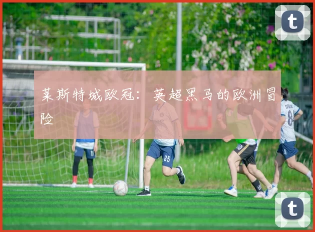 莱斯特城欧冠：英超黑马的欧洲冒险