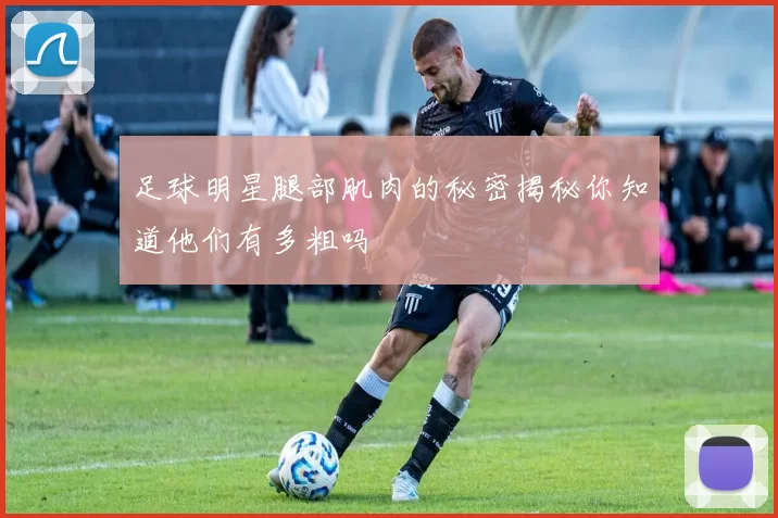 足球明星腿部肌肉的秘密揭秘你知道他们有多粗吗