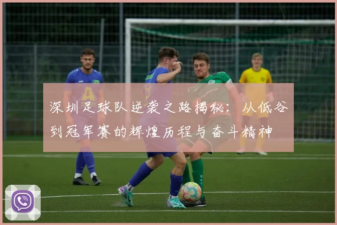 深圳足球队逆袭之路揭秘：从低谷到冠军赛的辉煌历程与奋斗精神