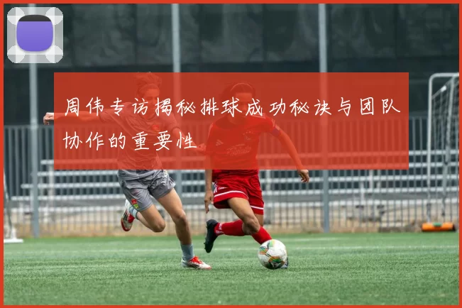 周伟专访揭秘排球成功秘诀与团队协作的重要性