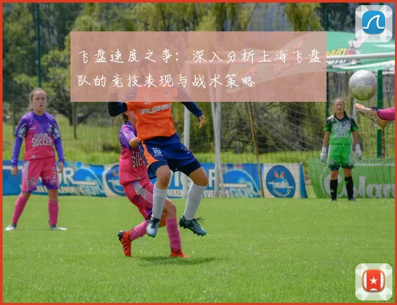 飞盘速度之争：深入分析上海飞盘队的竞技表现与战术策略