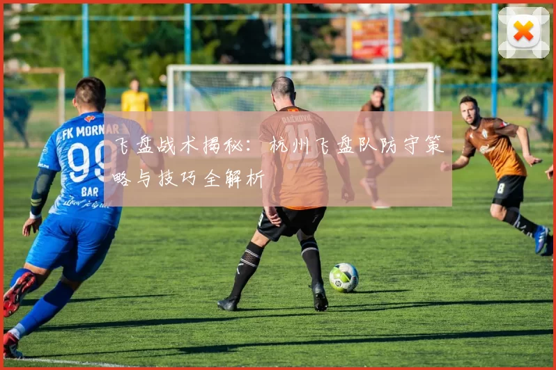 飞盘战术揭秘：杭州飞盘队防守策略与技巧全解析