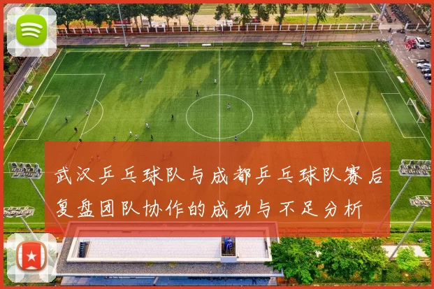 武汉乒乓球队与成都乒乓球队赛后复盘团队协作的成功与不足分析
