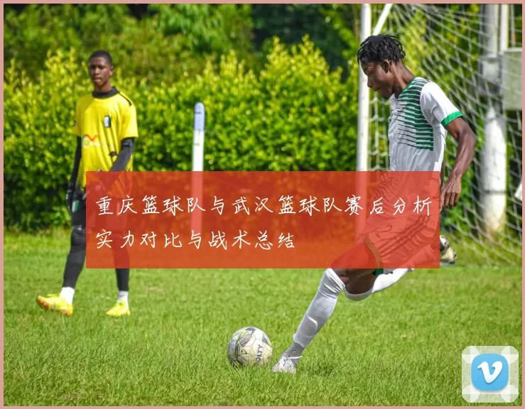 重庆篮球队与武汉篮球队赛后分析实力对比与战术总结