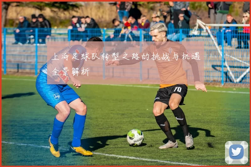 上海足球队转型之路的挑战与机遇全景解析