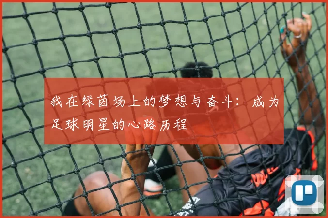 我在绿茵场上的梦想与奋斗：成为足球明星的心路历程