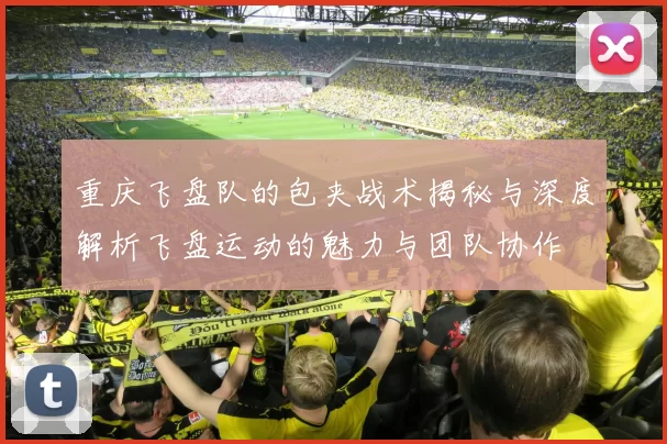 重庆飞盘队的包夹战术揭秘与深度解析飞盘运动的魅力与团队协作