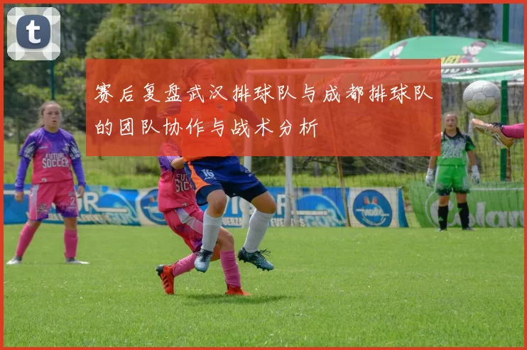 赛后复盘武汉排球队与成都排球队的团队协作与战术分析