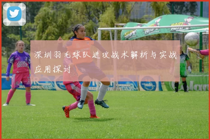 深圳羽毛球队进攻战术解析与实战应用探讨
