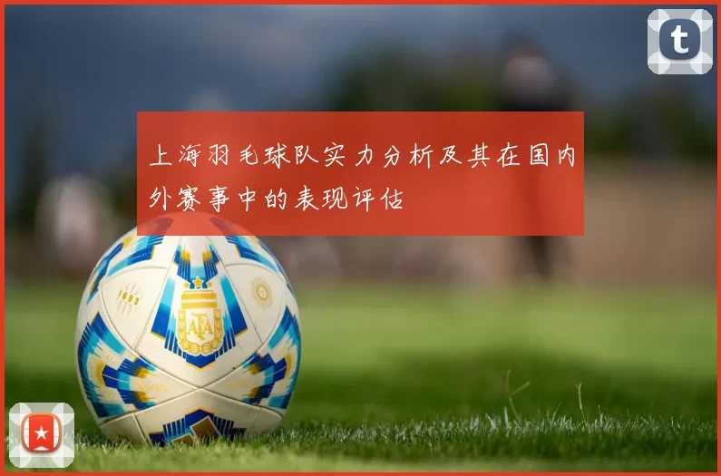 上海羽毛球队实力分析及其在国内外赛事中的表现评估