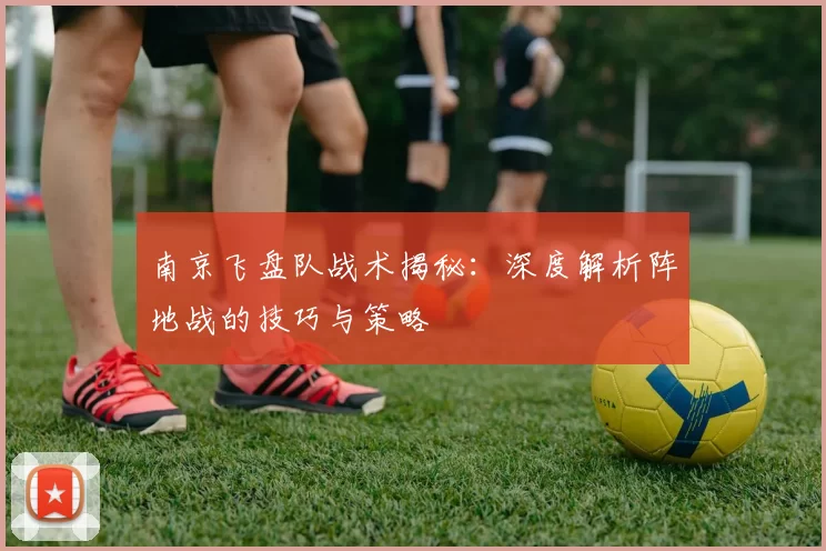 南京飞盘队战术揭秘：深度解析阵地战的技巧与策略