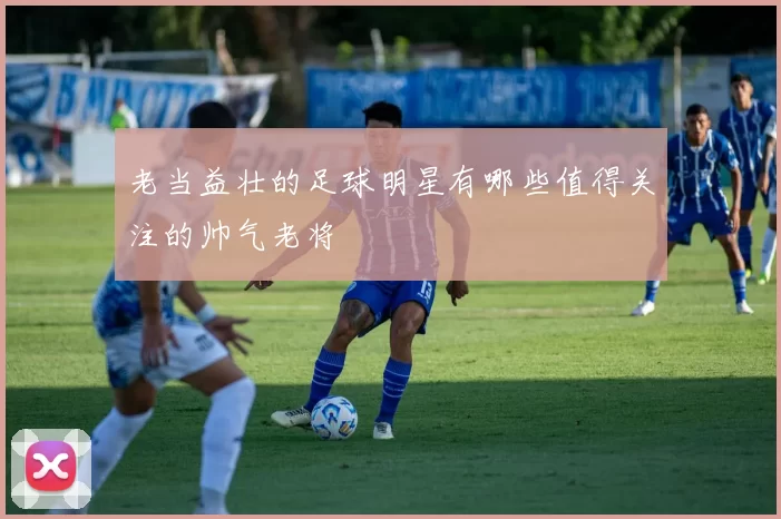 老当益壮的足球明星有哪些值得关注的帅气老将