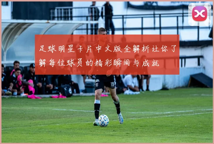 足球明星卡片中文版全解析让你了解每位球员的精彩瞬间与成就